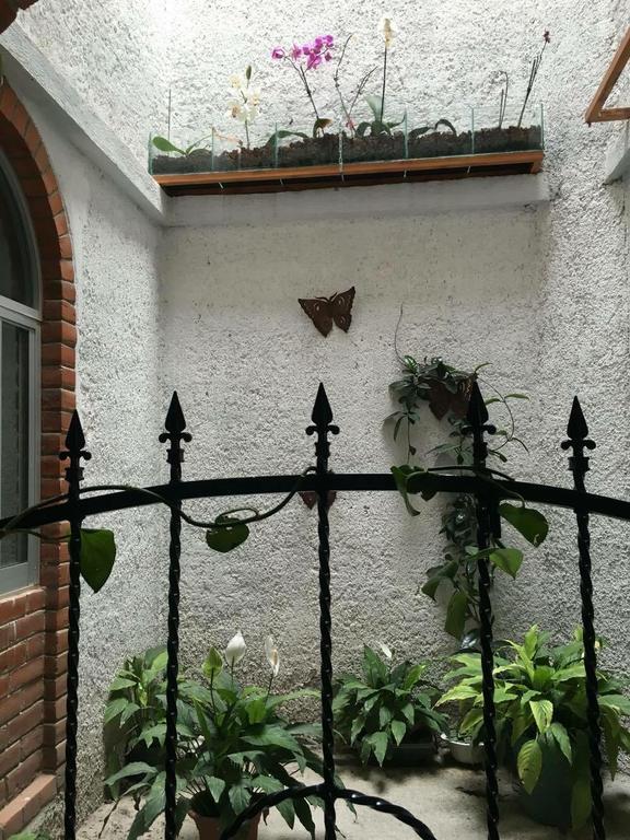 تيكوزاوتلا Hotel La Herradura المظهر الخارجي الصورة